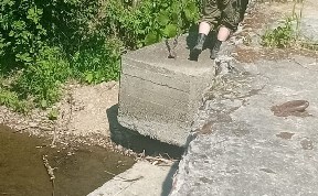 Общество
