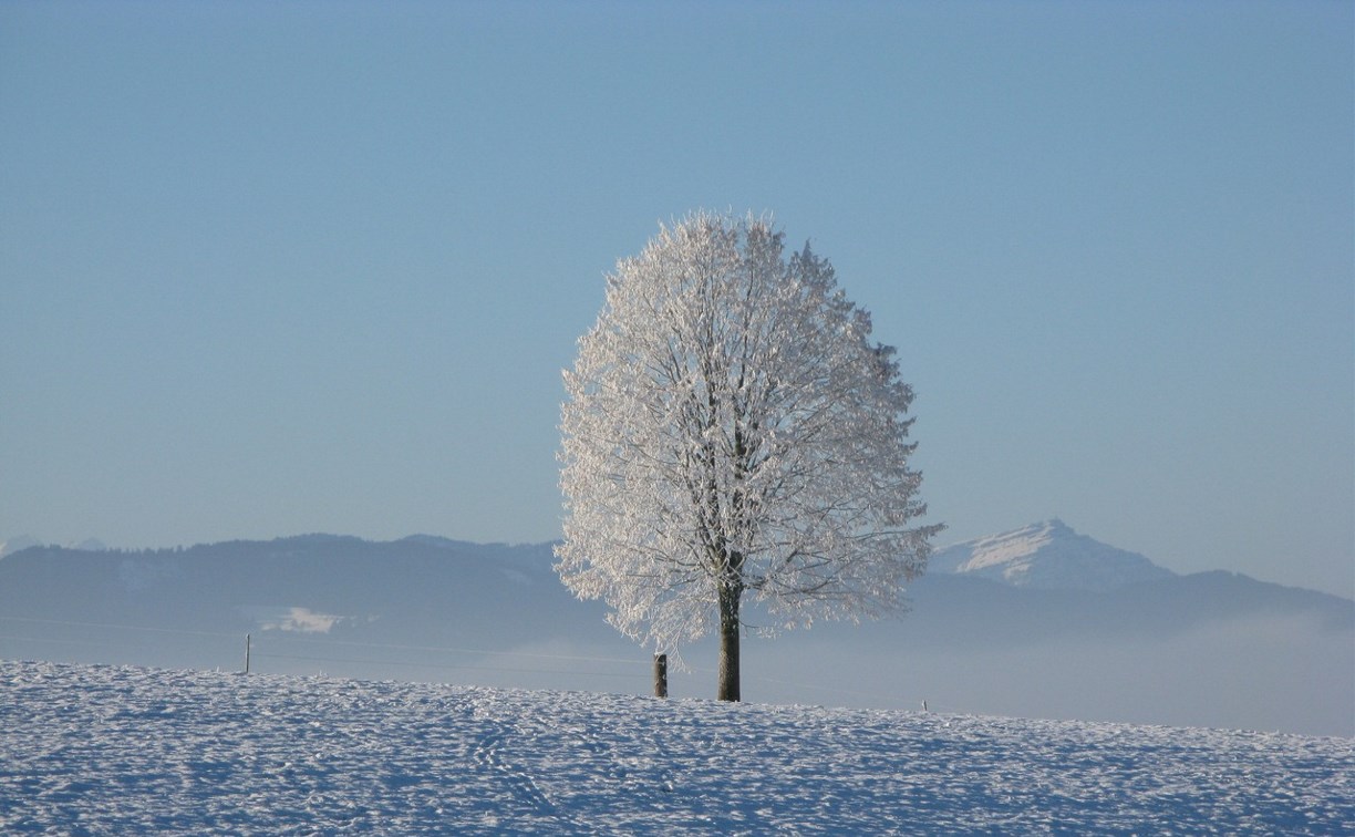 Ледяной ветер и снег: сахалинские синоптики уточнили прогноз на день 24 января