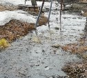 Фекальная река образовалась на улице Лесной в селе Сокол