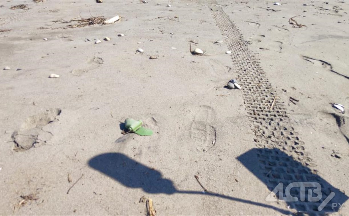 Сообщение о мине-лепестке на пляже в Аниве распространяют по сахалинским мессенджерам