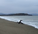 На Сахалине прохладно и дождливо, а на Курилах теплее и ветренее — прогноз погоды для региона на 21 октября