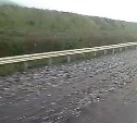Несколько тонн мойвы рассыпалось по трассе на юге Сахалина