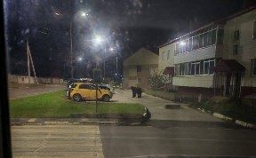 Происшествия