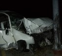 В аварии в Леонидово пострадал водитель