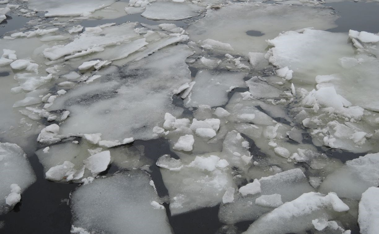 Синоптики спрогнозировали взлом припая у берегов Сахалина 31 января