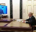 Производство топлива на Сахалине, переработка рыбы, развитие порта: ключевые моменты встречи Путина и Лимаренко 
