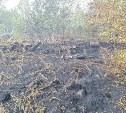Пожар в Мицулёвке тушили больше трех часов