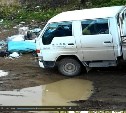 Фотоловушки будут фиксировать нарушения в сахалинских лесах