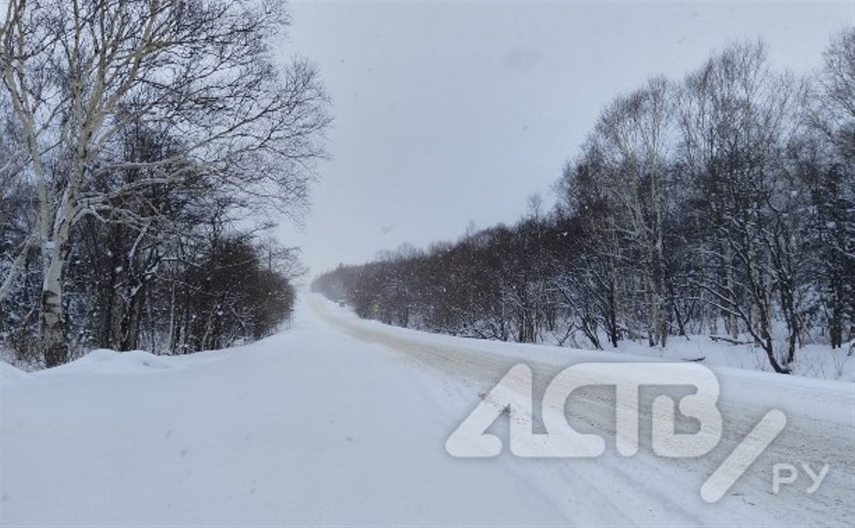 "Рожать и думать о вечном": сахалинцы рассказали, чем будут заниматься в метель
