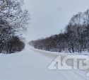 "Рожать и думать о вечном": сахалинцы рассказали, чем будут заниматься в метель