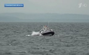 Общество