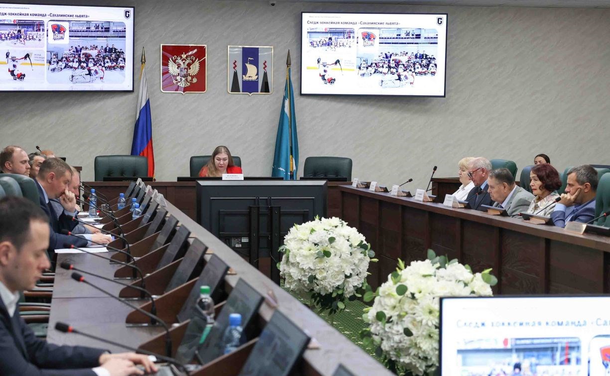 Сахалинская областная дума: в островном регионе снижается уровень бедности Сахалинская областная дума: в островном регионе снижается уровень бедности