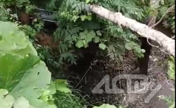 В реку в селе Раздольном на Сахалине потоком сливают вонючую субстанцию