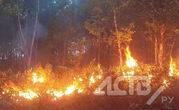 Появились фото и видео полыхавшего на юге Сахалина леса