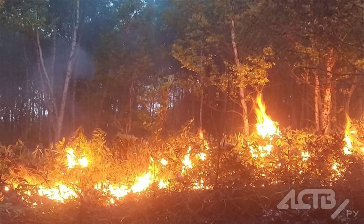 Появились фото и видео полыхавшего на юге Сахалина леса
