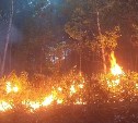 Появились фото и видео полыхавшего на юге Сахалина леса