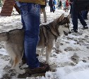 Собачий парк открыли в Южно-Сахалинске