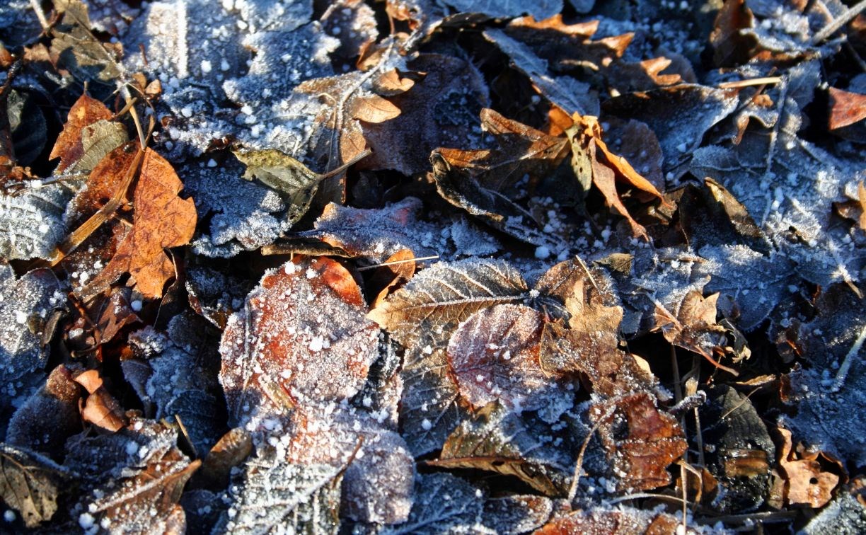 Осенняя прохлада накроет Сахалин: в центральной части острова ожидают до -8 градусов