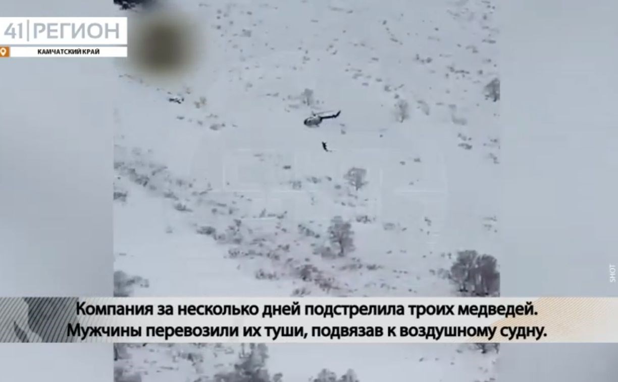 На Камчатке месяц не могут найти браконьеров и арендованные ими вертолёты, несмотря на видео очевидцев