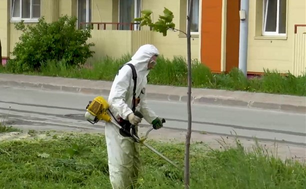 Управляющие компании Южно-Сахалинска проводят покос травы во дворах