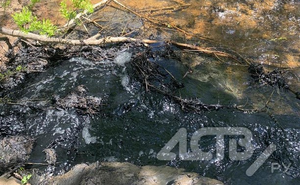 Сточные воды хлынули в нерестовую реку в Александровске-Сахалинском