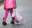 Пенсионерка на Сахалине украла у маленькой девочки сумку с телефоном и ключами