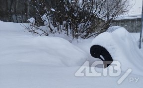 Общество