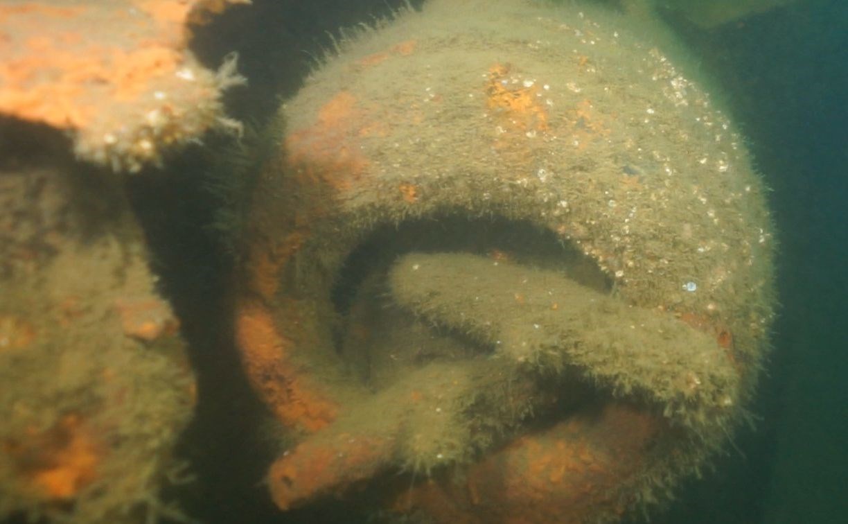 Сахалинские дайверы сняли затонувший 77 лет назад японский военный корабль