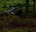Автомобилист разбился насмерть в Смирныховском районе