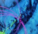 Землетрясение магнитудой 4.6 произошло у берегов Южных Курил