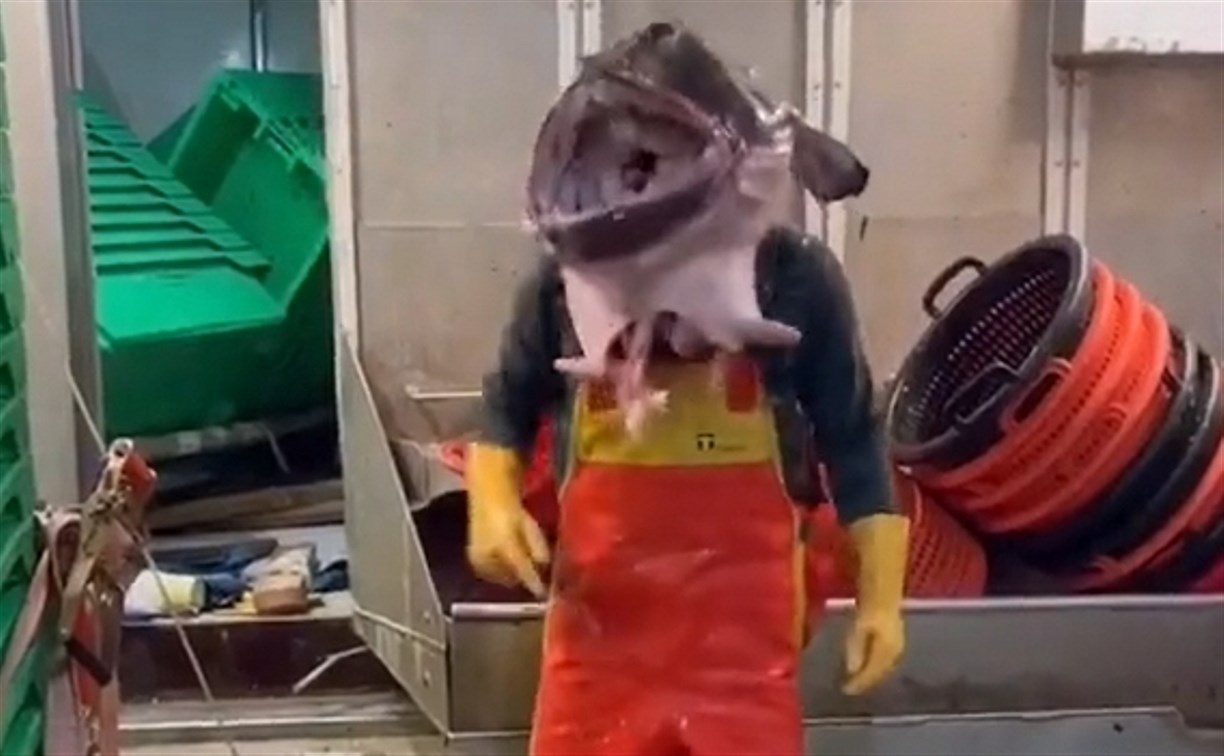"Лучшая работа в мире": сахалинские рыбаки делятся смешными кадрами будней в море