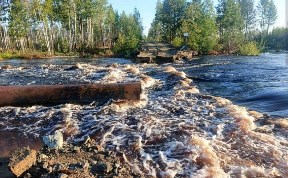 Общество
