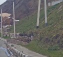 В Холмске на тротуар рухнула часть подпорной стены