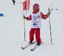 Старт 33-й открытой Всероссийской массовой лыжной гонки «Лыжня России–2015» состоялся в Троицком