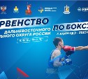 Сахалинские боксёры завоевали две медали первенства ДФО
