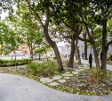 Шесть сахалинских городов стали победителями Всероссийского конкурса проектов благоустройства