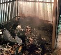Мусорный контейнер дотла сгорел в Александровске-Сахалинском