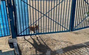 Происшествия