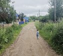 "Страдаем от засухи и теряем урожай": как жители сахалинского села десятилетиями справляются без воды