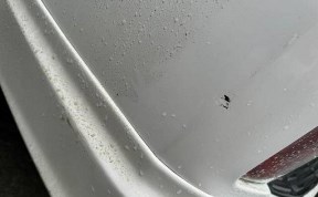 Происшествия