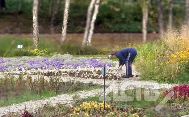Дама с сапёрной лопаткой выкопала цветы в городском парке Южно-Сахалинска и унесла в рюкзаке