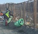 Мусор с Известкового вновь засыпал всё вокруг - идет служебное расследование