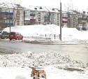 Свой личный снежный полигон устроил в центре города южно-сахалинский торговый комплекс 