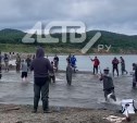"Мы её пороли, пороли…": сахалинские кошатники "удачно" избавляли от горбуши Очепуху в День рыбака