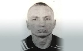 Происшествия