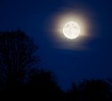 Полная Холодная Луна, Урсиды, Геминиды: космонавт рассказал, когда в декабре стоит смотреть на небо
