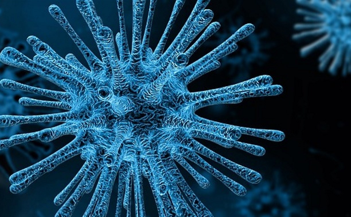 Восемь новых случаев коронавируса зарегистрировали сегодня в Сахалинской области 