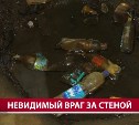 В Холмске из-за мокрого подвала в квартирах цветет плесень