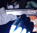 Пистолет Макарова и патроны обнаружили полицейские в иномарке в Южно-Сахалинске 