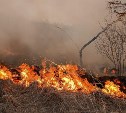 Сухая трава на 1000 "квадратов" полыхала в Троицком
